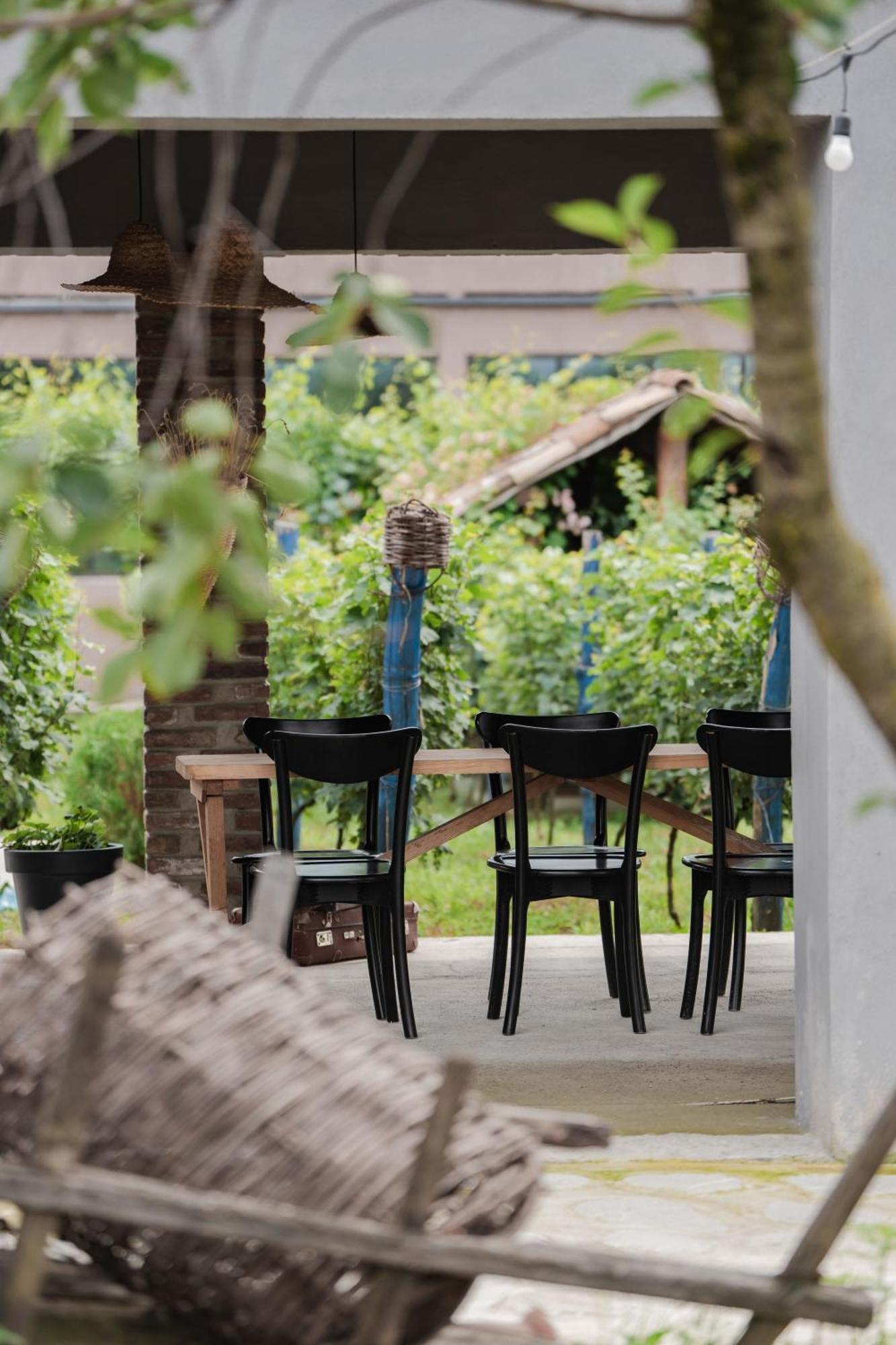 Vineyard Hotel & Winery ناباريولي المظهر الخارجي الصورة