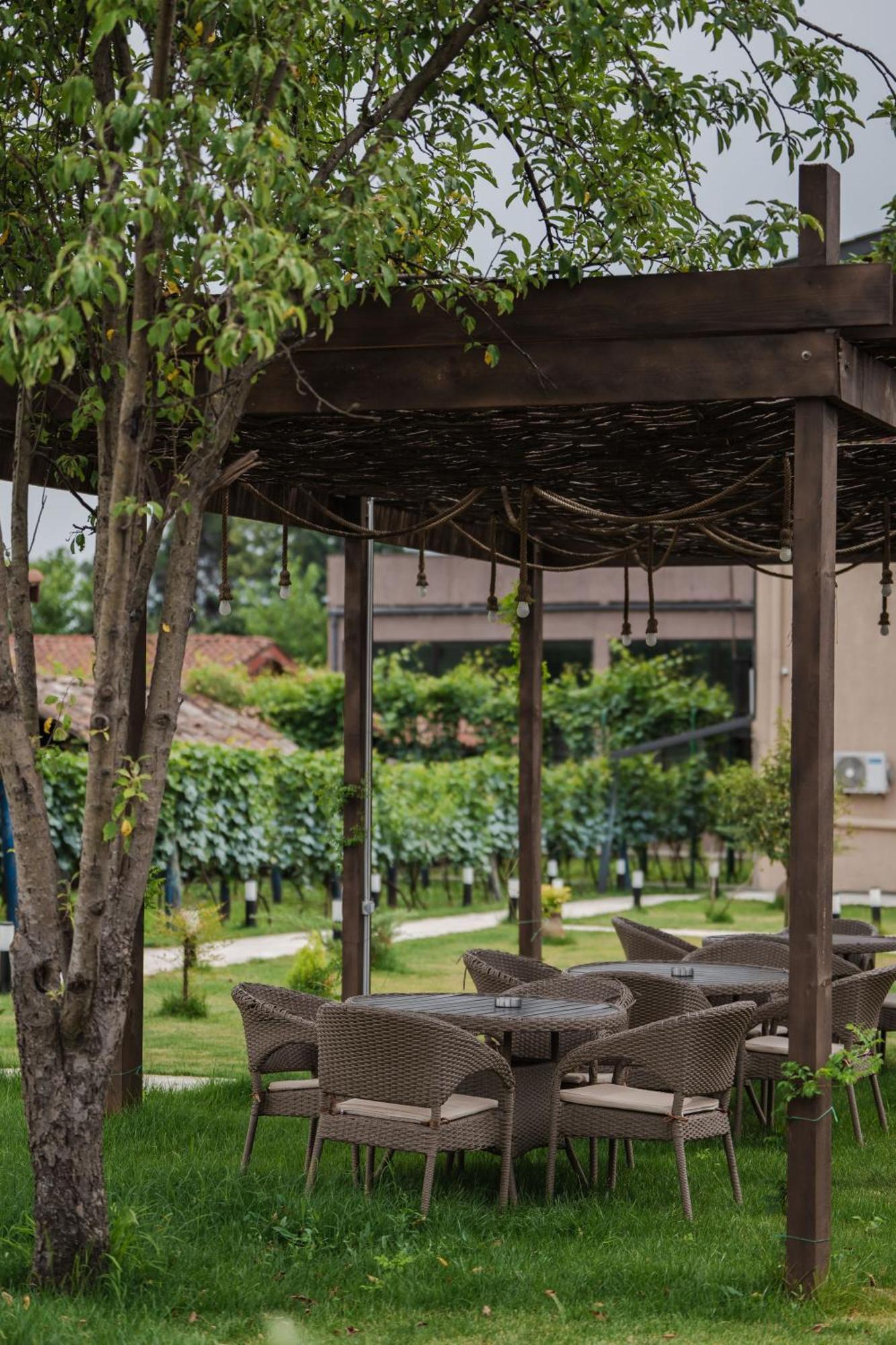 Vineyard Hotel & Winery ناباريولي المظهر الخارجي الصورة
